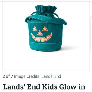 Two teal Land's End Glow in the Dark Halloween Tote